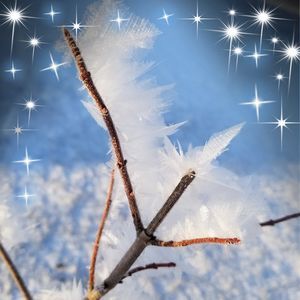 Meet your Posher, Susan-tim